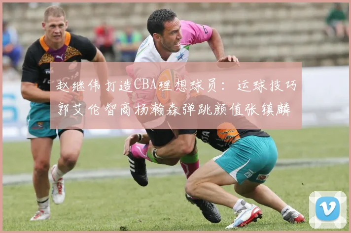 赵继伟打造CBA理想球员：运球技巧郭艾伦智商杨瀚森弹跳颜值张镇麟完美结合